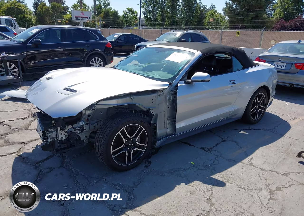 2019 Ford Mustang Gt Premium VIN:1FATP8FF4K5169954 - 2