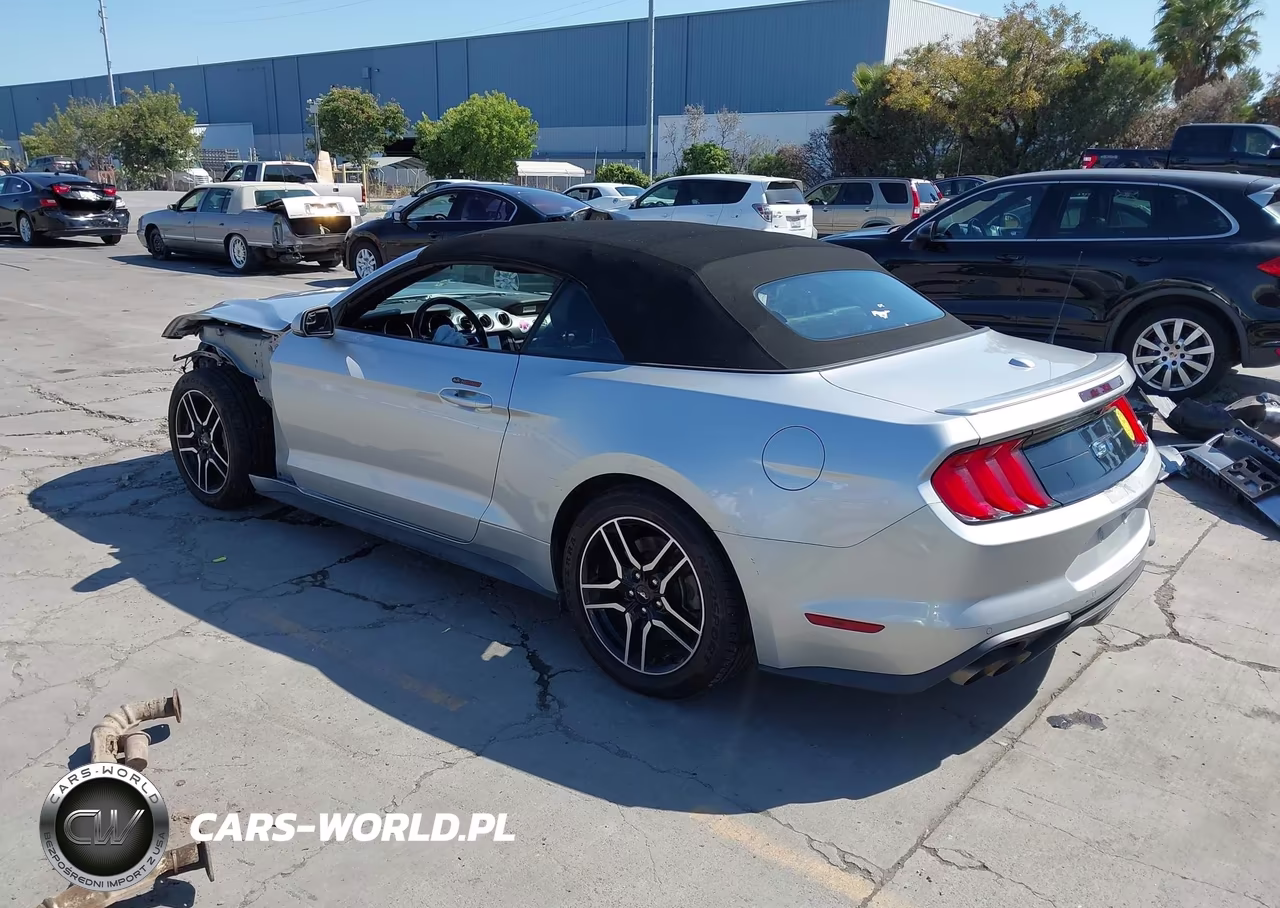 2019 Ford Mustang Gt Premium VIN:1FATP8FF4K5169954 - 3