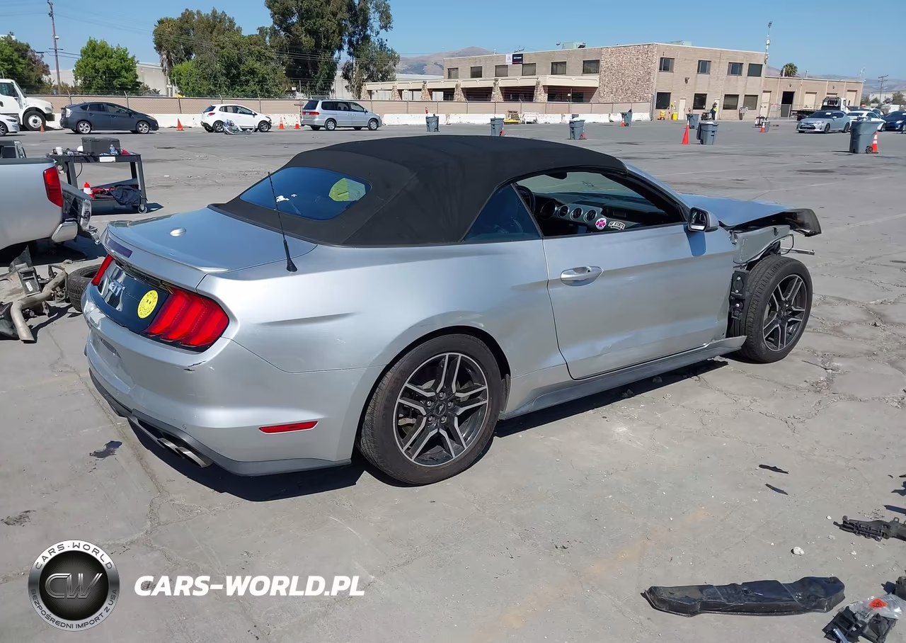 2019 Ford Mustang Gt Premium VIN:1FATP8FF4K5169954 - 4