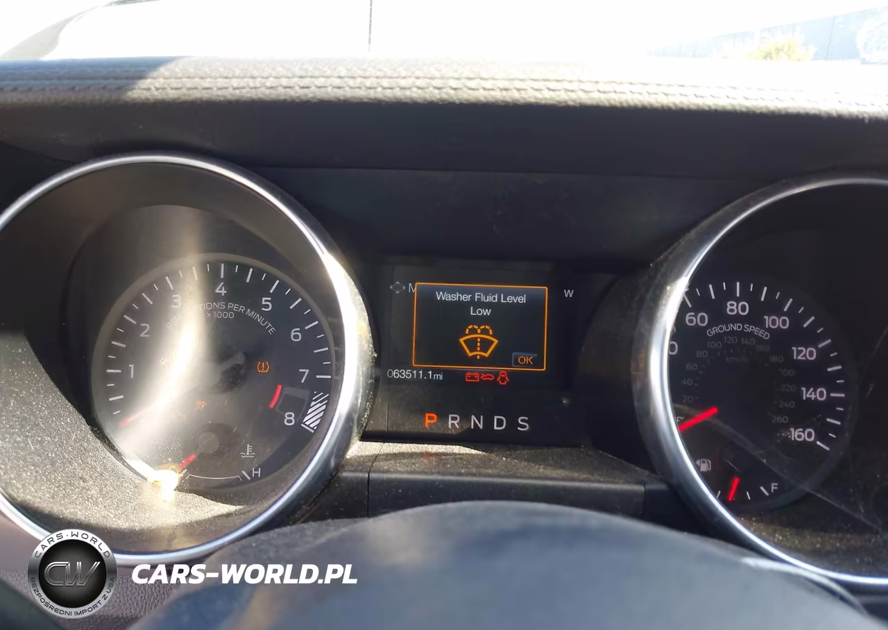 2019 Ford Mustang Gt Premium VIN:1FATP8FF4K5169954 - 7