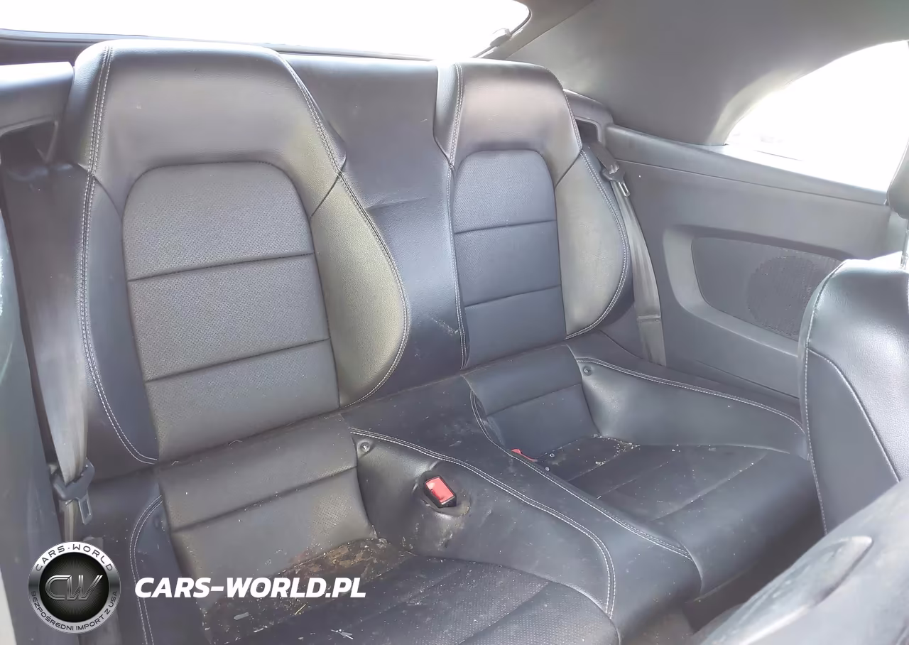 2019 Ford Mustang Gt Premium VIN:1FATP8FF4K5169954 - 8