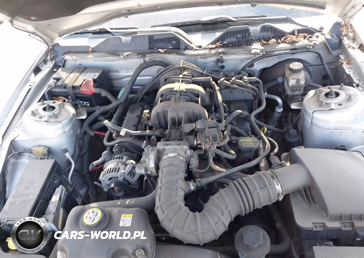 2010 Ford Mustang V6-V6 Premium VIN:1ZVBP8AN7A5136804 - 10