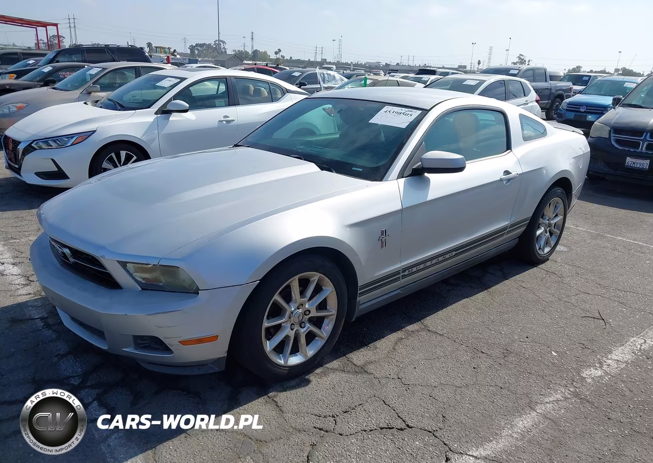 2010 Ford Mustang V6-V6 Premium VIN:1ZVBP8AN7A5136804 - 2