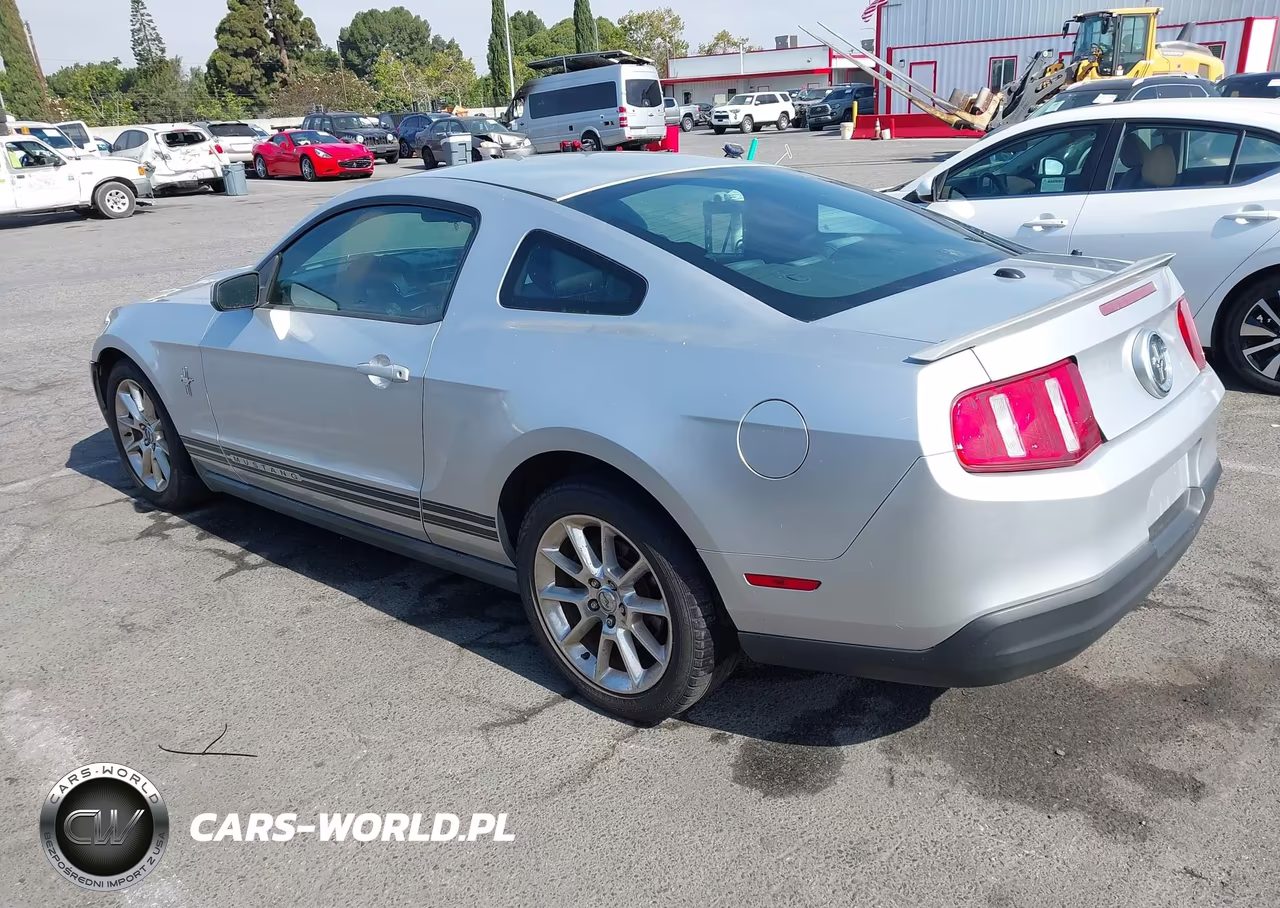 2010 Ford Mustang V6-V6 Premium VIN:1ZVBP8AN7A5136804 - 3