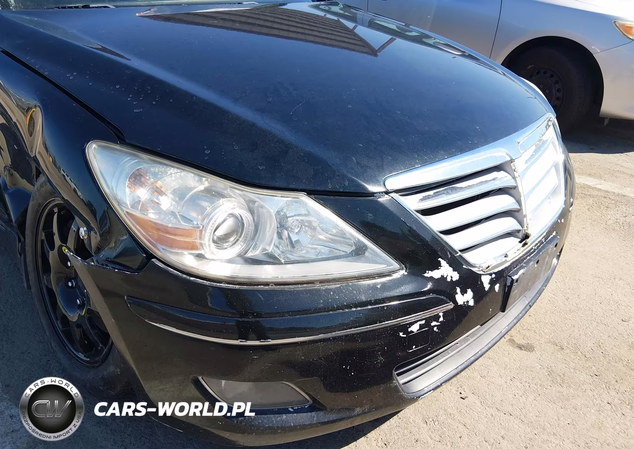 2013 Hyundai Genesis 3.8 VIN:KMHGC4DD6DU209926 - 13
