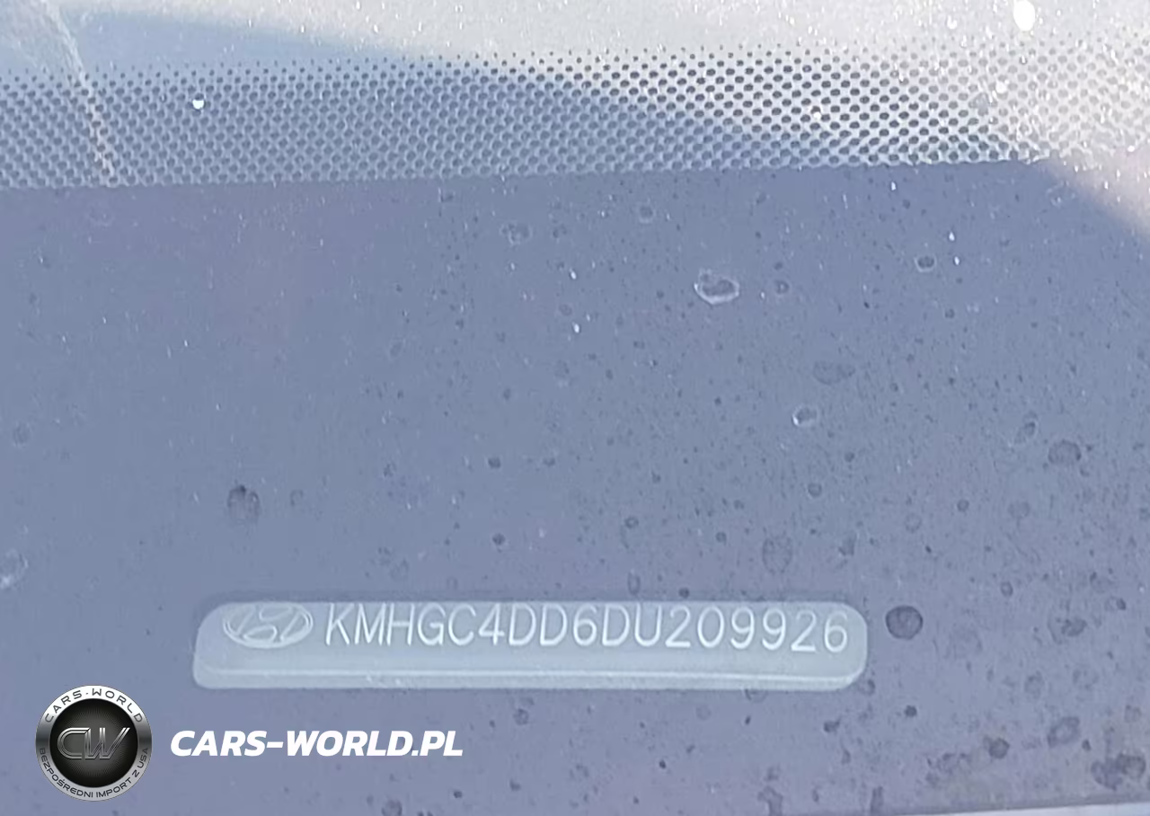 2013 Hyundai Genesis 3.8 VIN:KMHGC4DD6DU209926 - 9