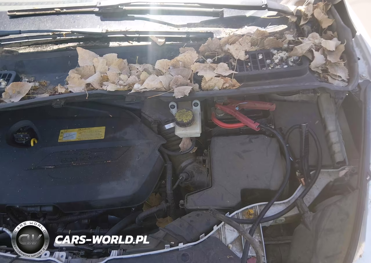2014 Ford Escape Se VIN:1FMCU9GX7EUB98693 - 10