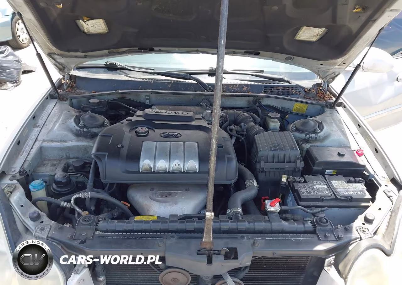 2004 Hyundai Sonata VIN:KMHWF25S64A033093 - 10