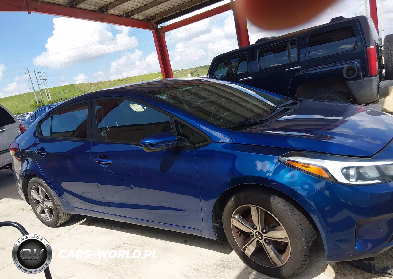 2018 Kia Forte Lx VIN:3KPFL4A75JE238486 - 13