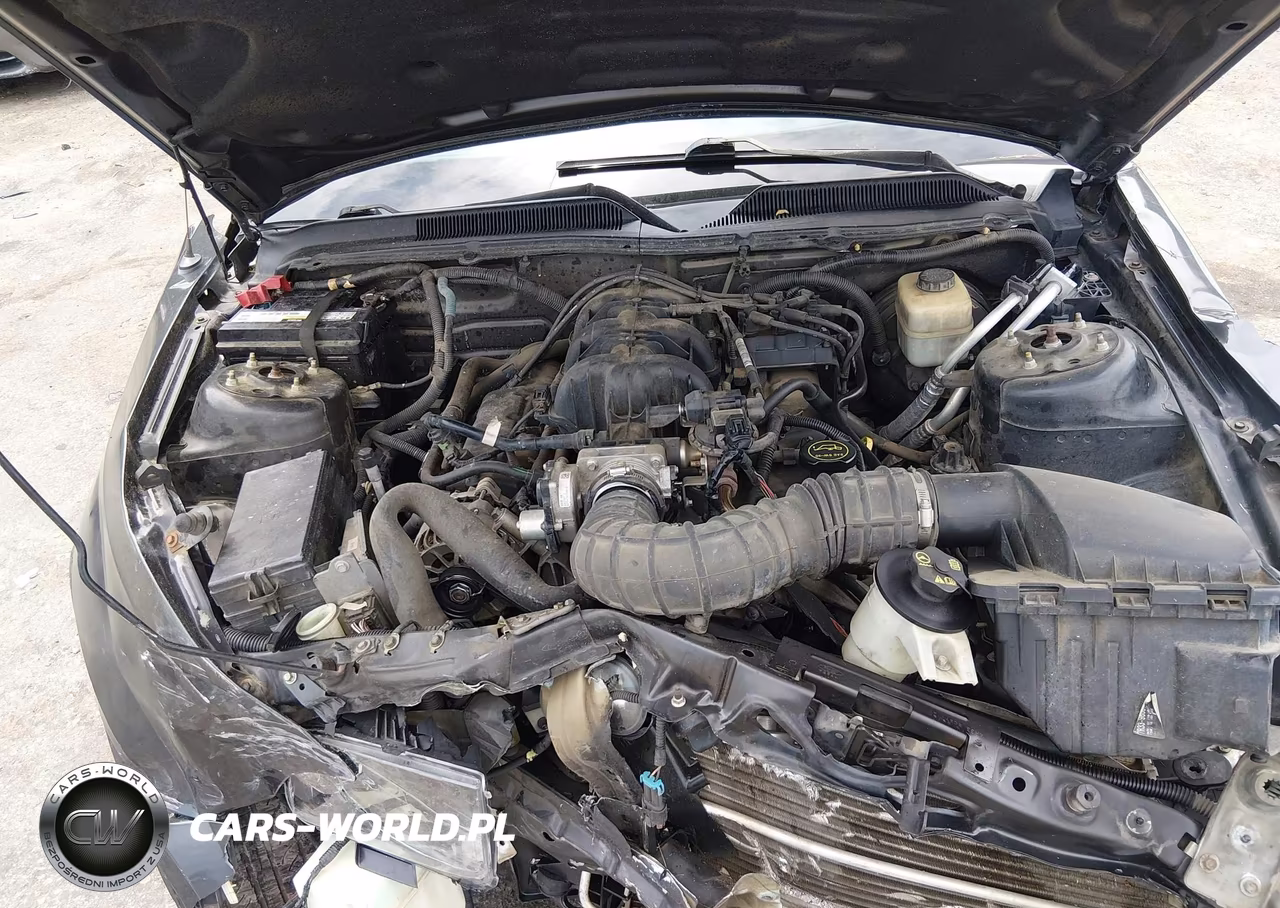 2008 Ford Mustang V6 Deluxe-V6 Premium VIN:1ZVHT80N785111578 - 10