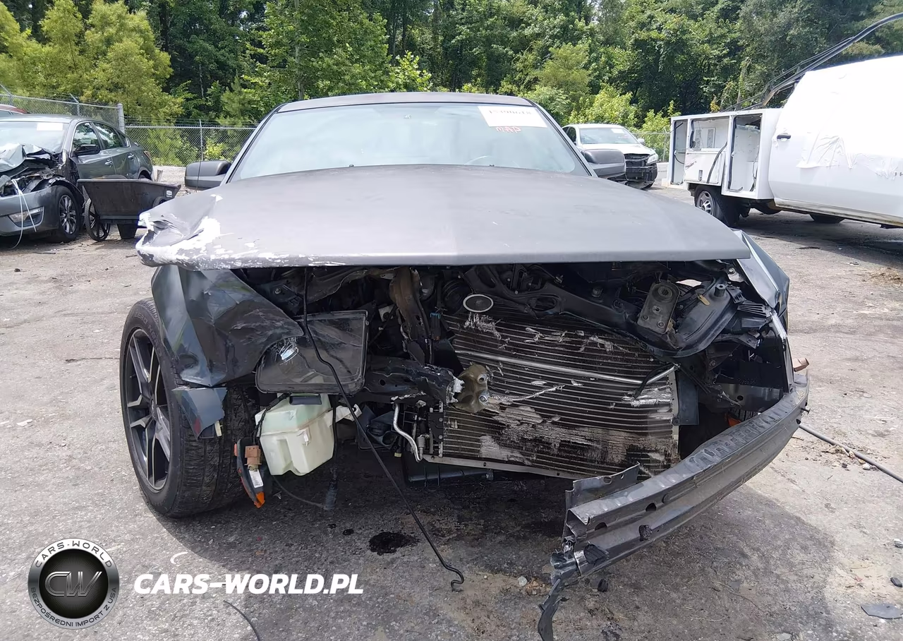 2008 Ford Mustang V6 Deluxe-V6 Premium VIN:1ZVHT80N785111578 - 13