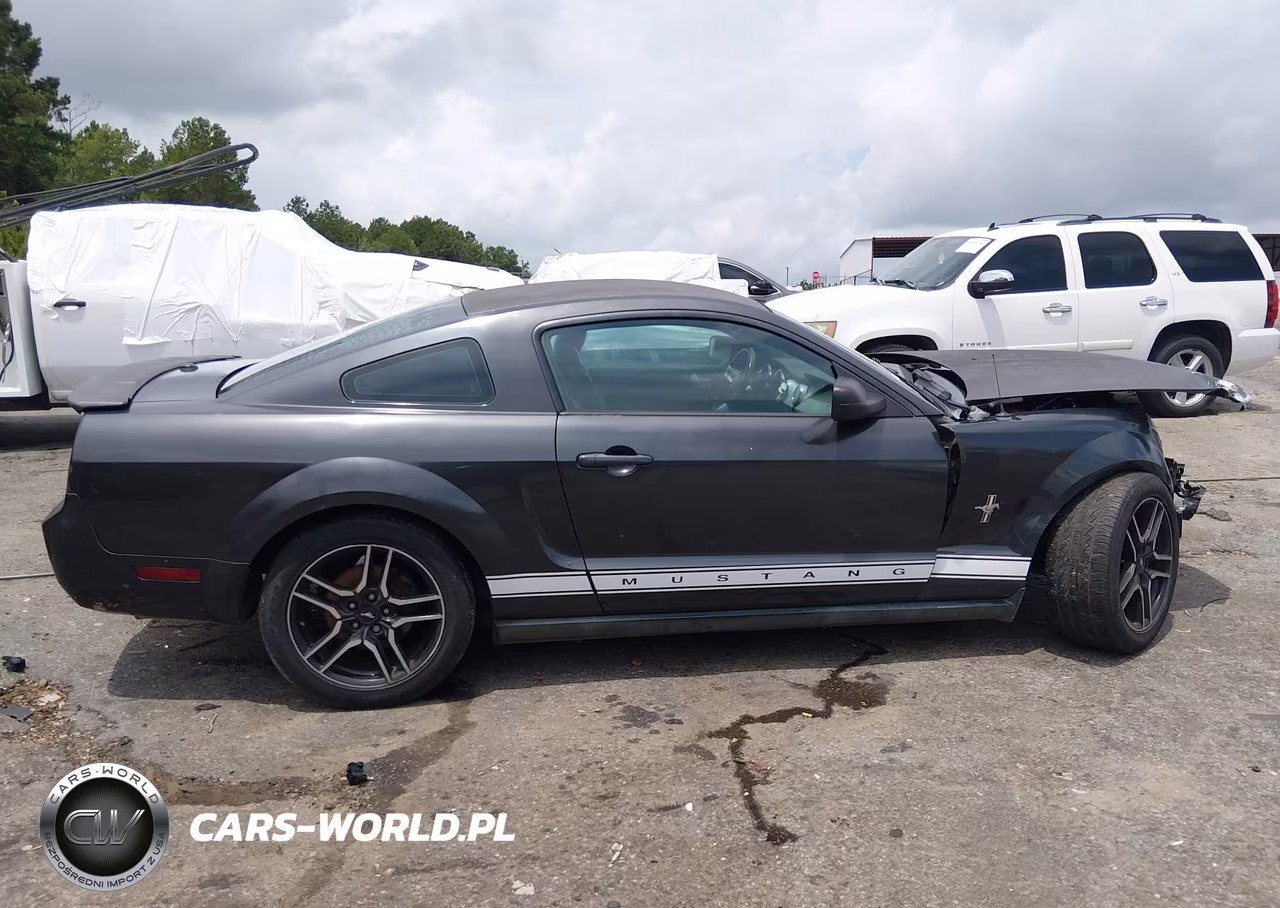 2008 Ford Mustang V6 Deluxe-V6 Premium VIN:1ZVHT80N785111578 - 14