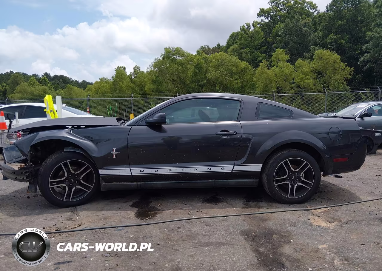 2008 Ford Mustang V6 Deluxe-V6 Premium VIN:1ZVHT80N785111578 - 15