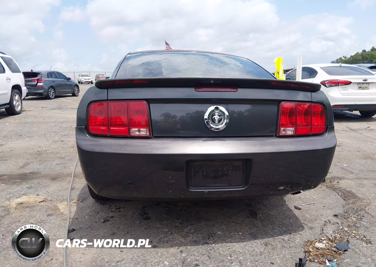 2008 Ford Mustang V6 Deluxe-V6 Premium VIN:1ZVHT80N785111578 - 17
