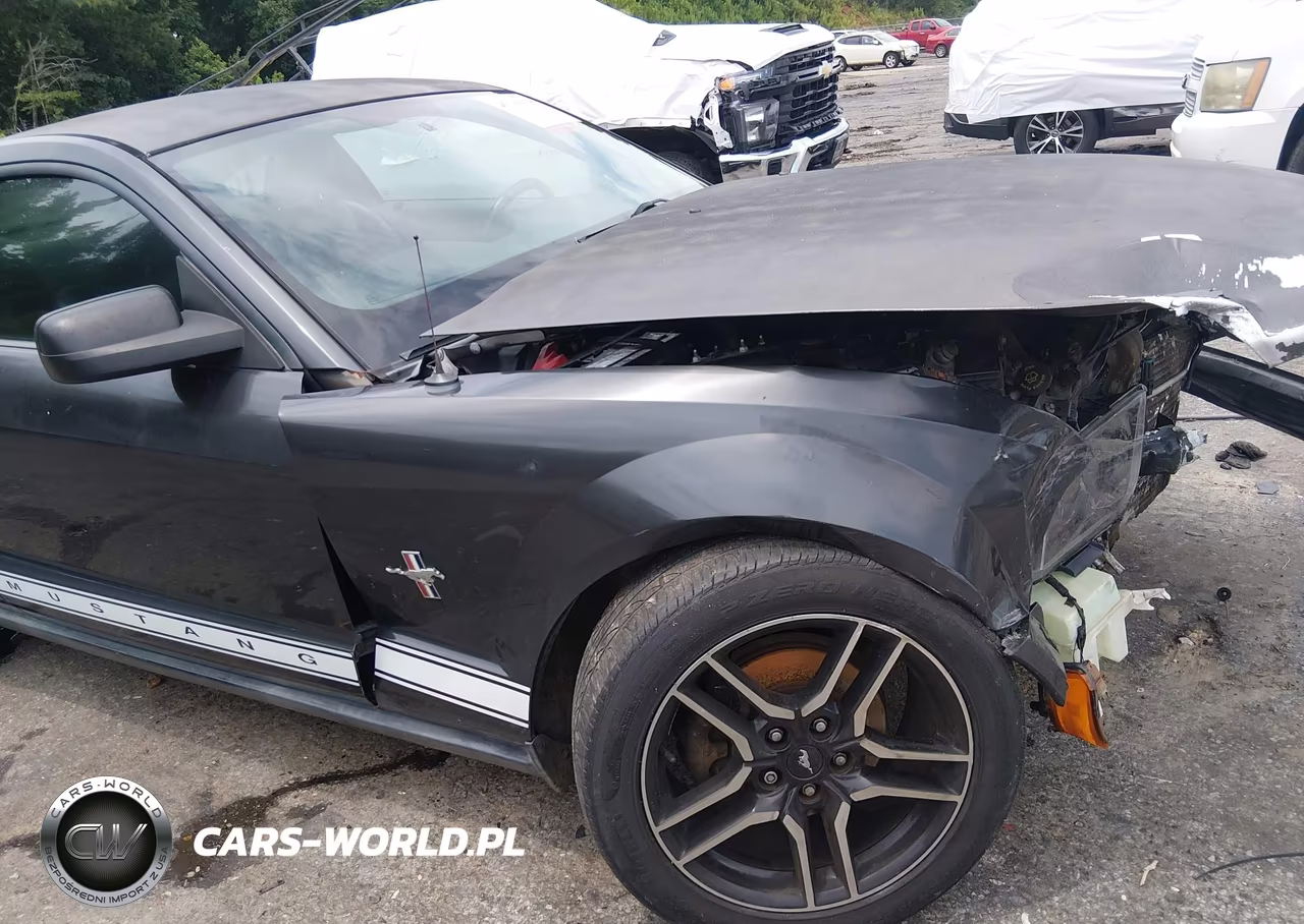 2008 Ford Mustang V6 Deluxe-V6 Premium VIN:1ZVHT80N785111578 - 18