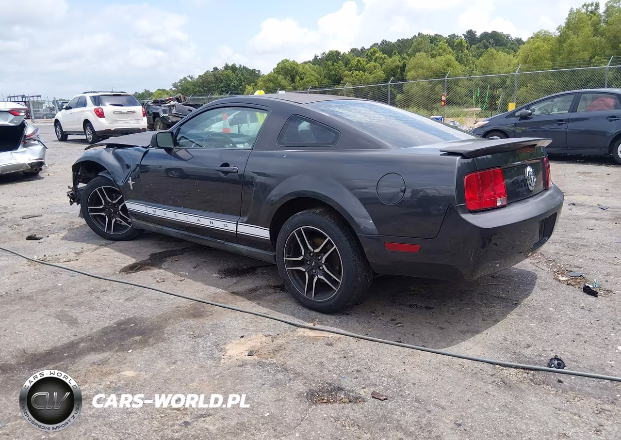 2008 Ford Mustang V6 Deluxe-V6 Premium VIN:1ZVHT80N785111578 - 3