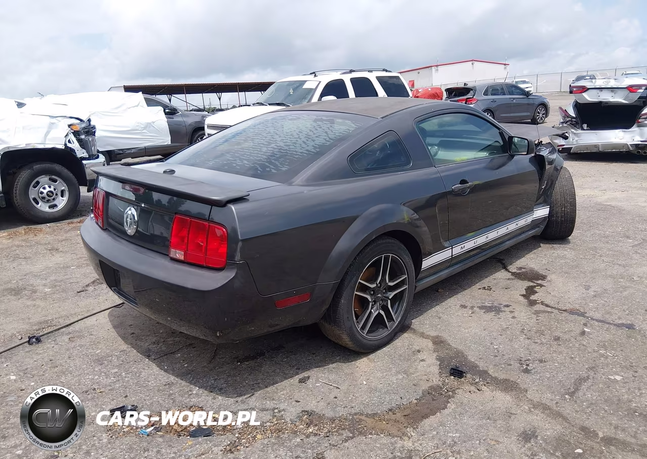2008 Ford Mustang V6 Deluxe-V6 Premium VIN:1ZVHT80N785111578 - 4