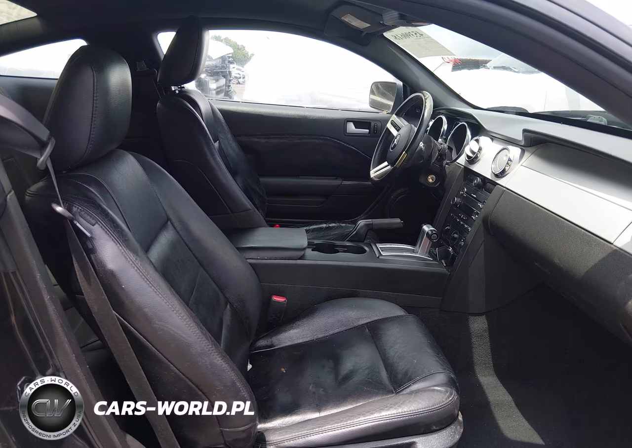 2008 Ford Mustang V6 Deluxe-V6 Premium VIN:1ZVHT80N785111578 - 5