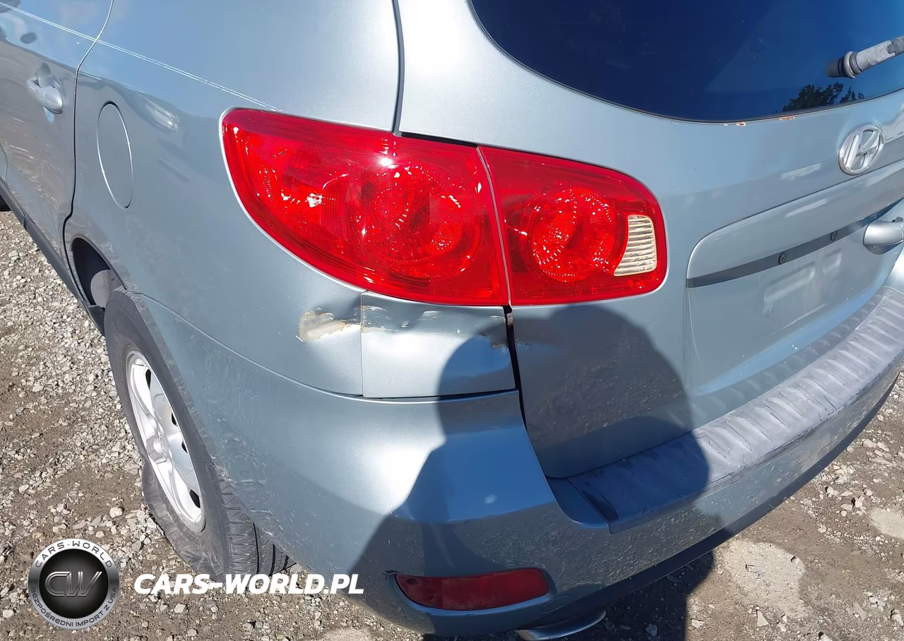 2007 Hyundai Santa Fe Gls VIN:5NMSG13D87H013775 - 6