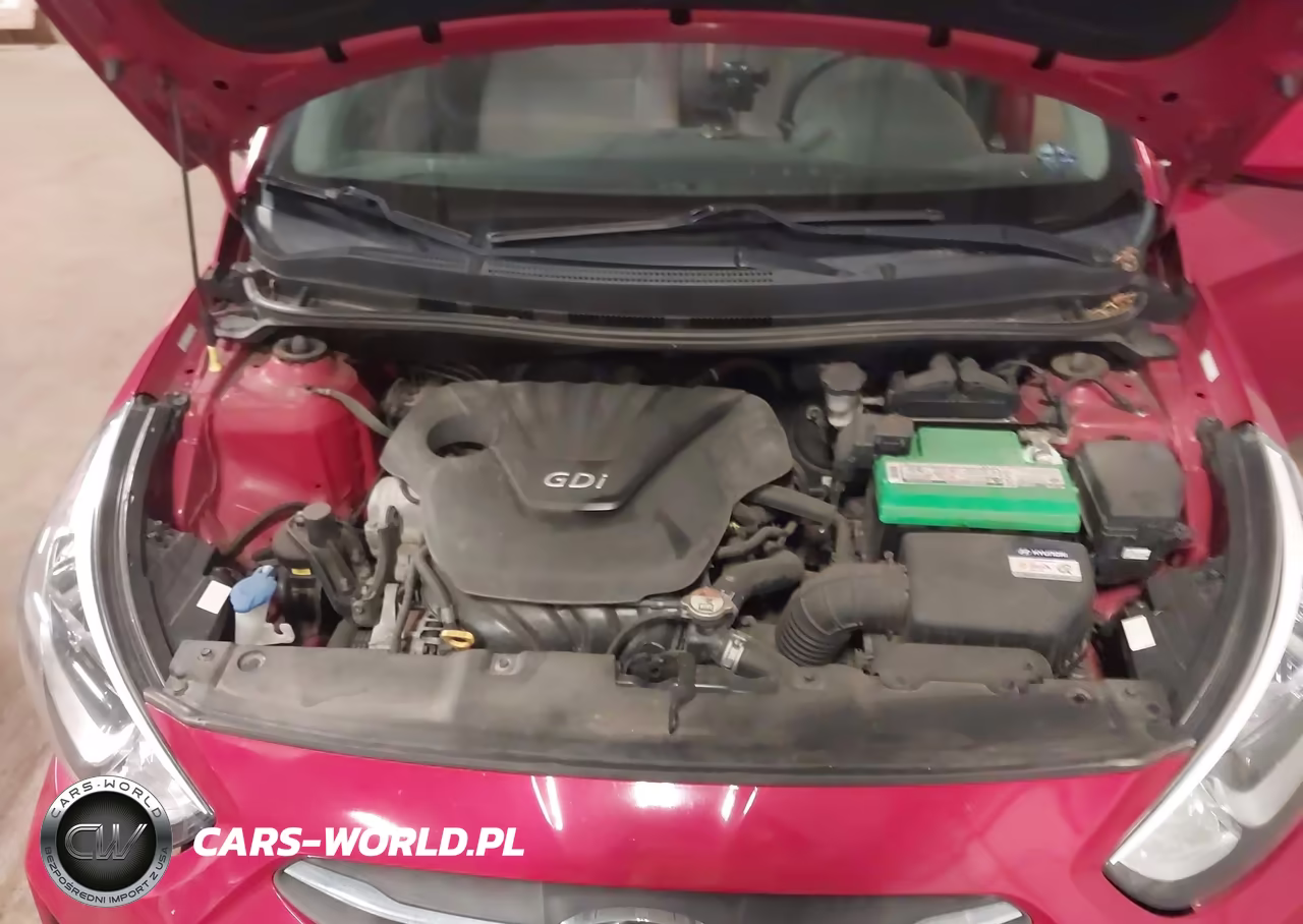 2016 Hyundai Accent Se VIN:KMHCT4AE1GU135850 - 10