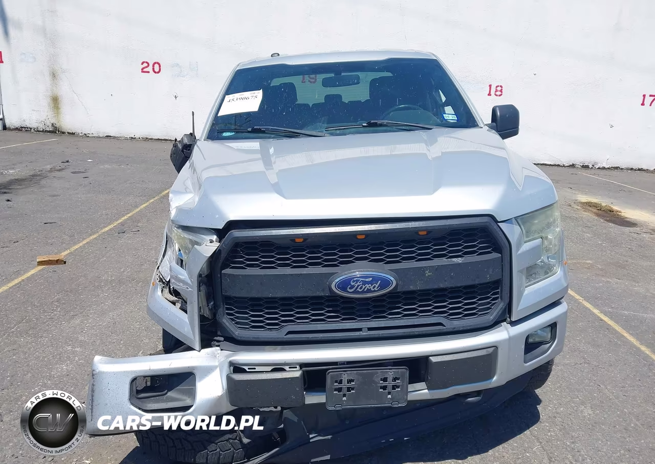 2016 Ford F-150 Lariat-Xl-Xlt VIN:1FTEW1EP2GKD29054 - 11