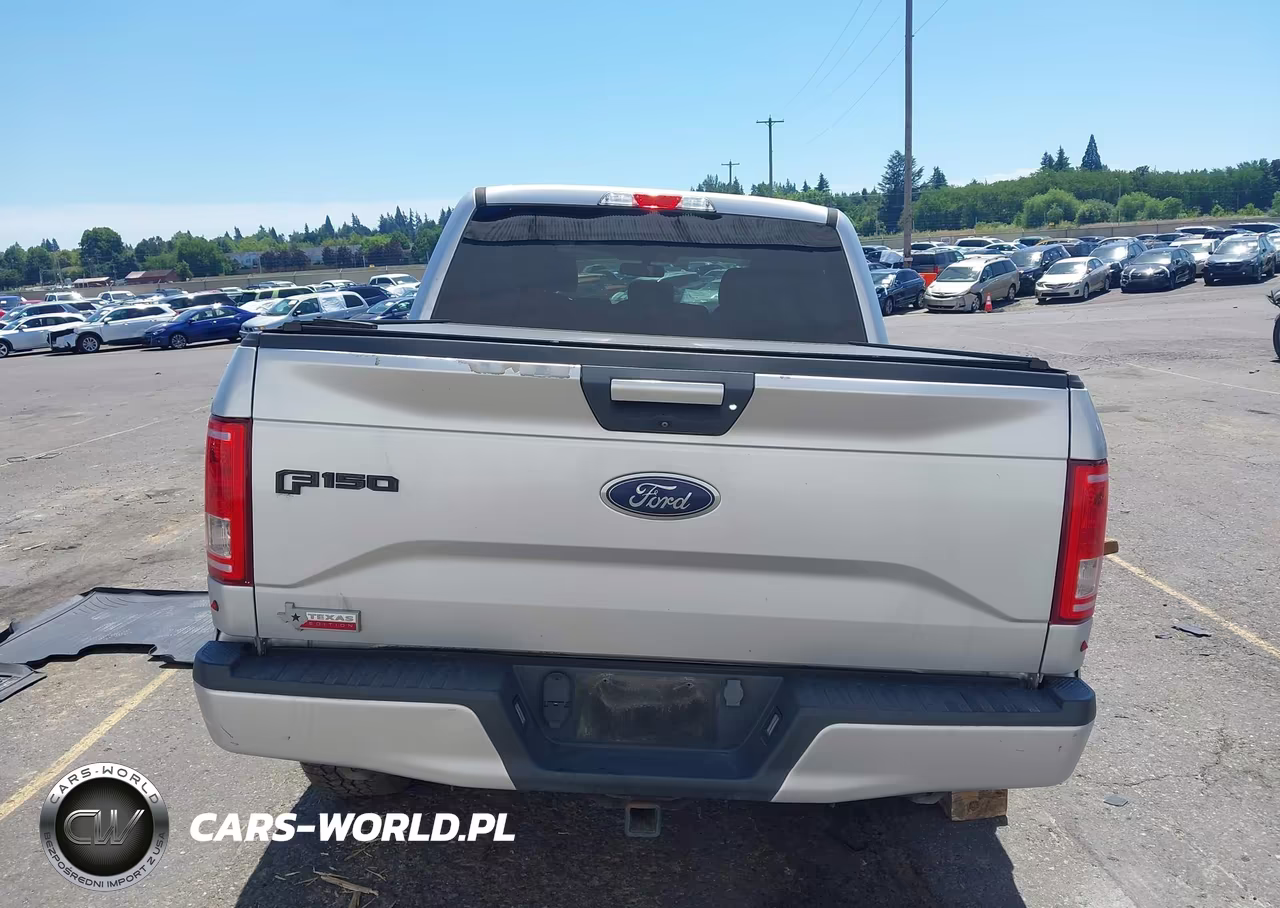 2016 Ford F-150 Lariat-Xl-Xlt VIN:1FTEW1EP2GKD29054 - 15
