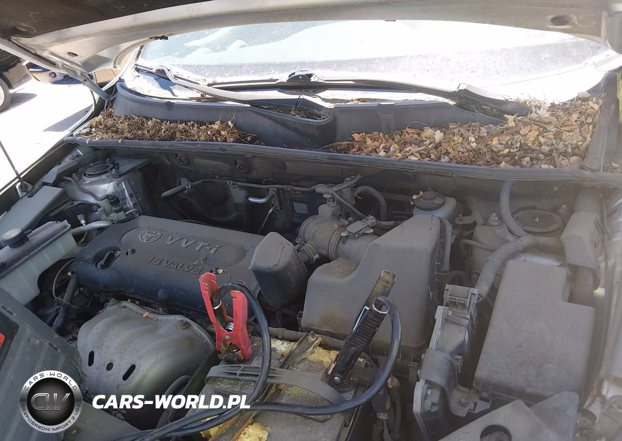 2008 Toyota Rav4 VIN:JTMBD33V485202604 - 10