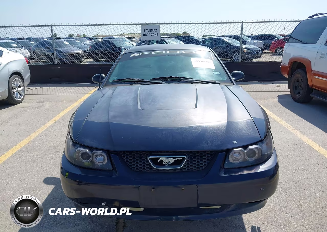2003 Ford Mustang VIN:1FAFP40483F357174 - 6