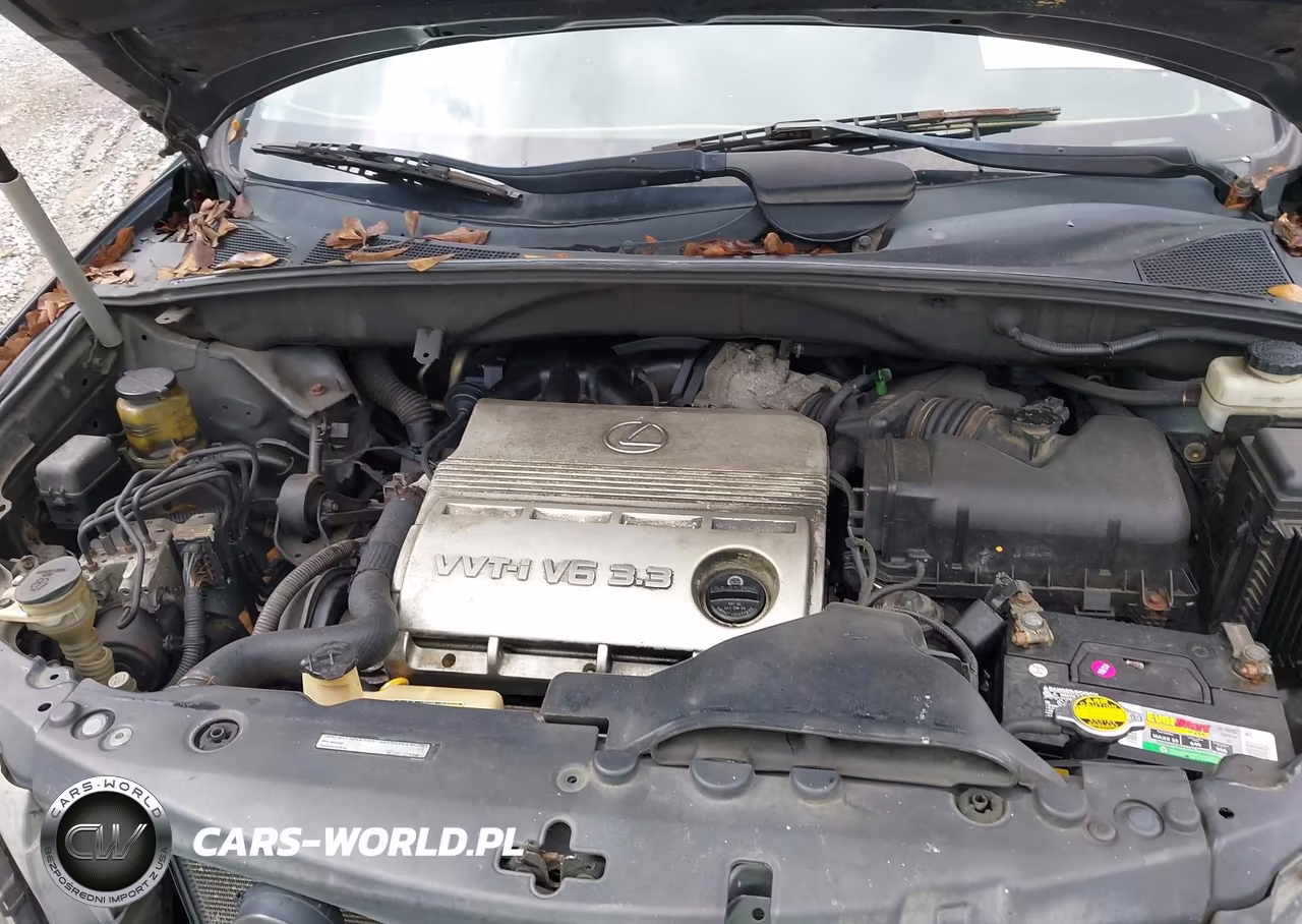 2005 Lexus Rx 330 VIN:2T2HA31U45C041243 - 10