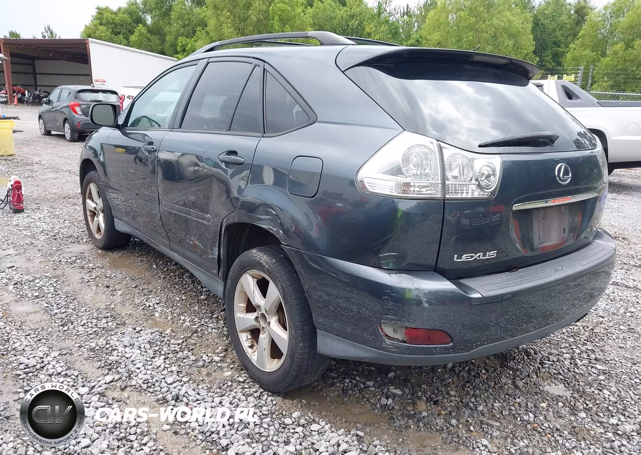 2005 Lexus Rx 330 VIN:2T2HA31U45C041243 - 3
