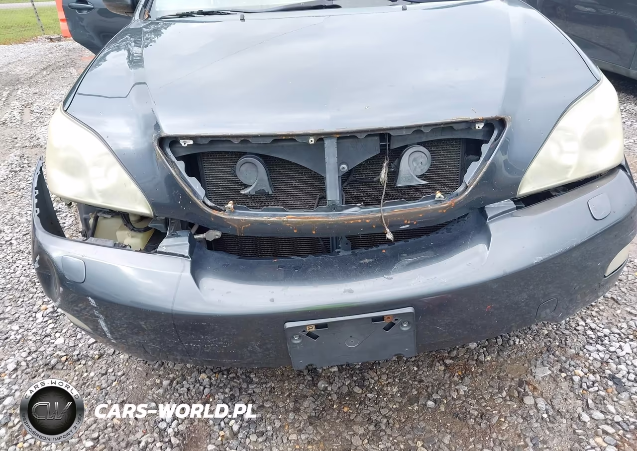 2005 Lexus Rx 330 VIN:2T2HA31U45C041243 - 6
