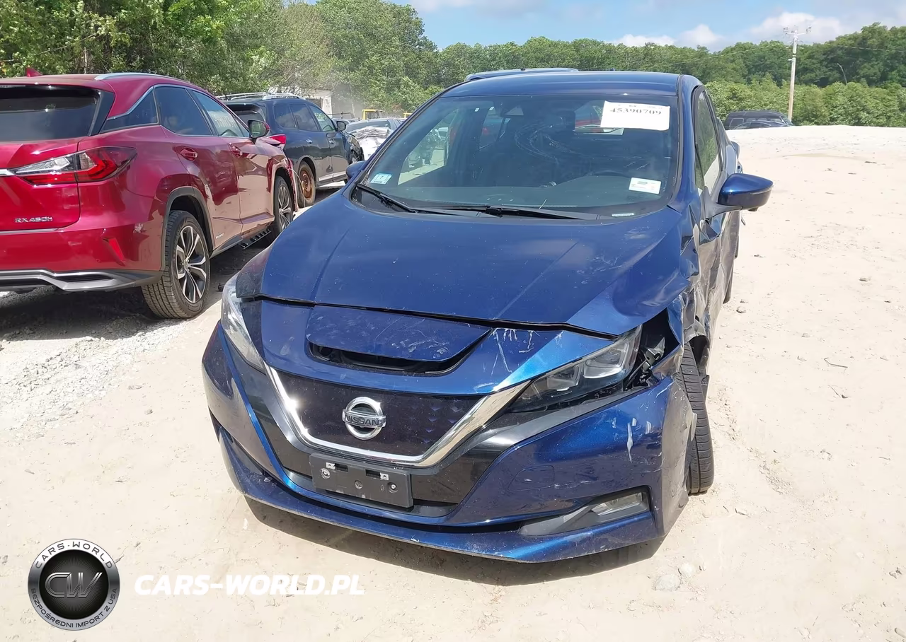 2018 Nissan Leaf Sl VIN:1N4AZ1CP4JC304723 - 6