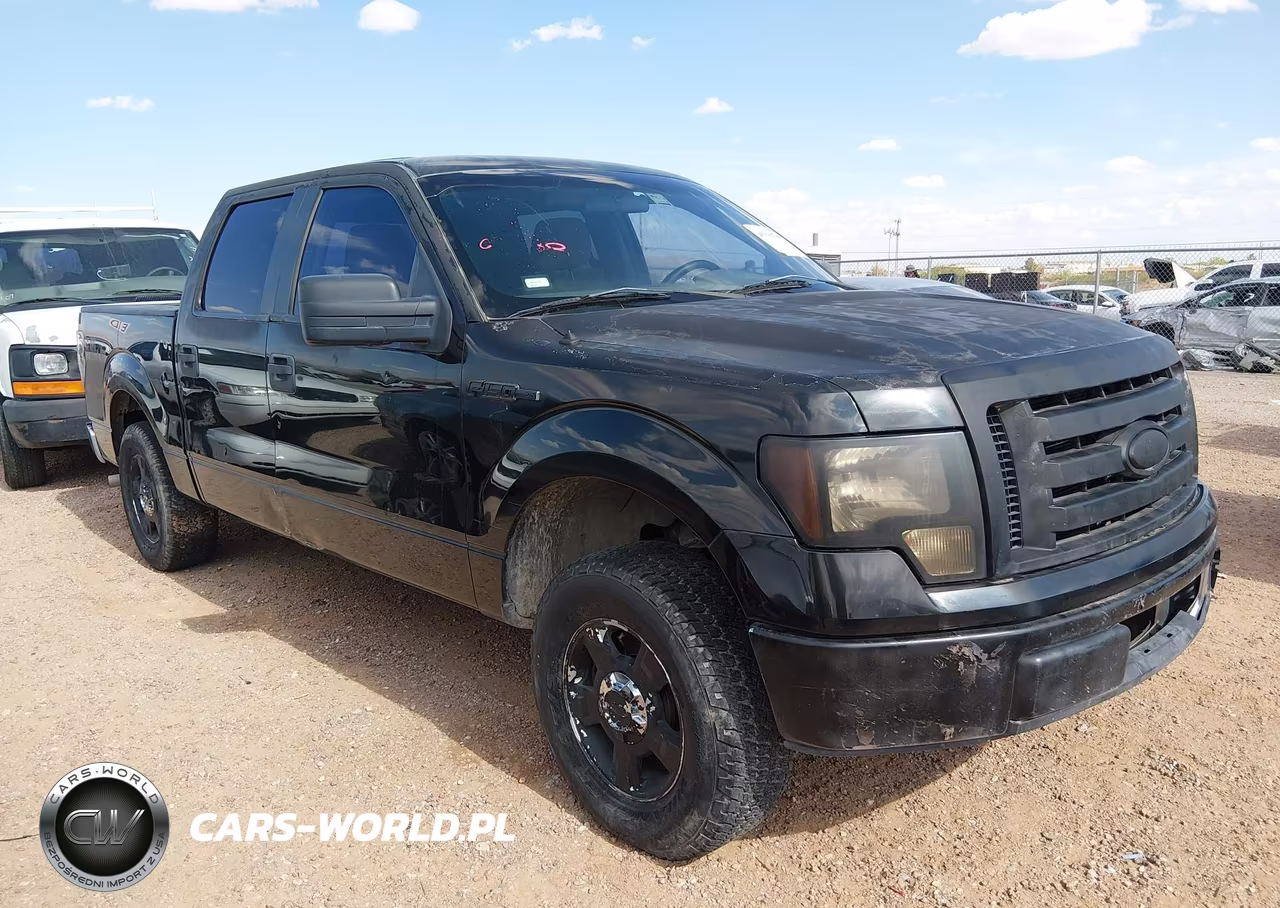 2010 Ford F-150 Fx2 Sport-Xl-Xlt VIN:1FTEW1C82AFC92468 - 13