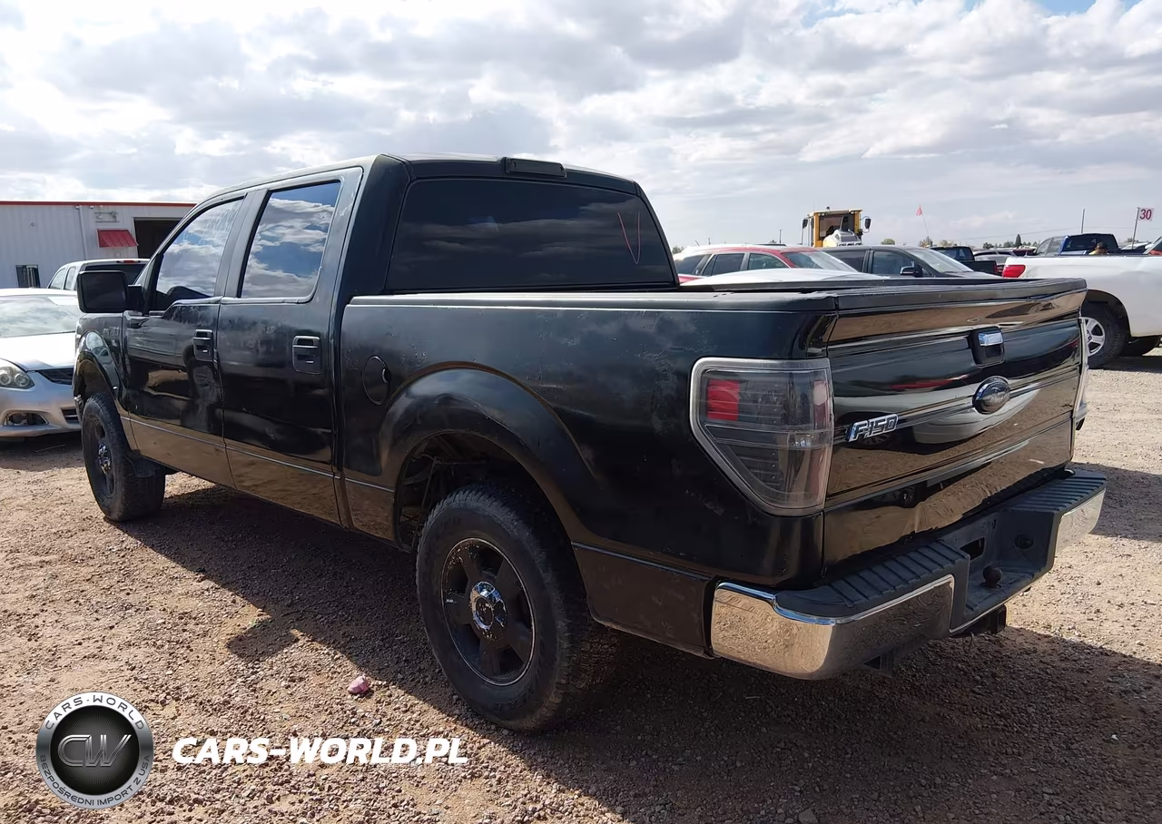 2010 Ford F-150 Fx2 Sport-Xl-Xlt VIN:1FTEW1C82AFC92468 - 14