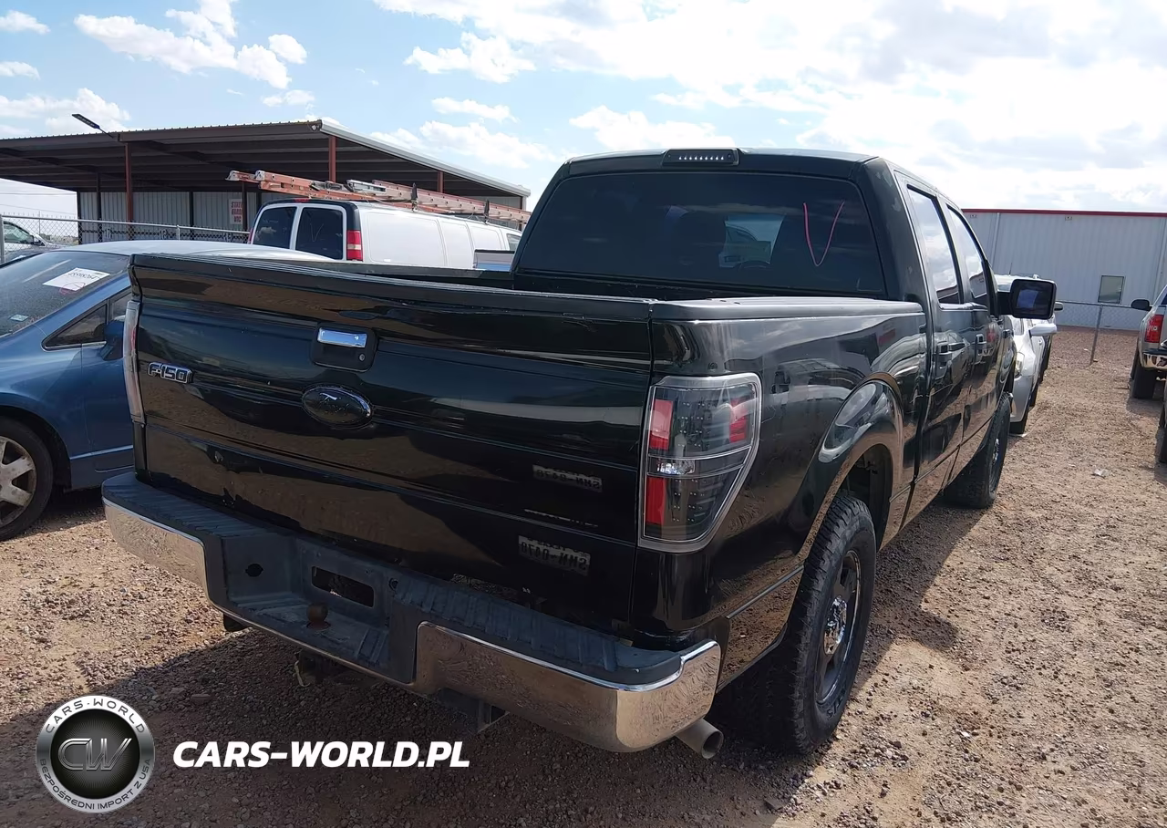 2010 Ford F-150 Fx2 Sport-Xl-Xlt VIN:1FTEW1C82AFC92468 - 16