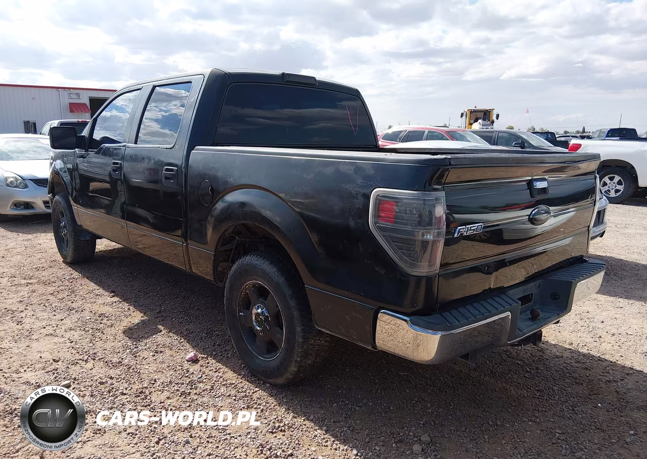 2010 Ford F-150 Fx2 Sport-Xl-Xlt VIN:1FTEW1C82AFC92468 - 3