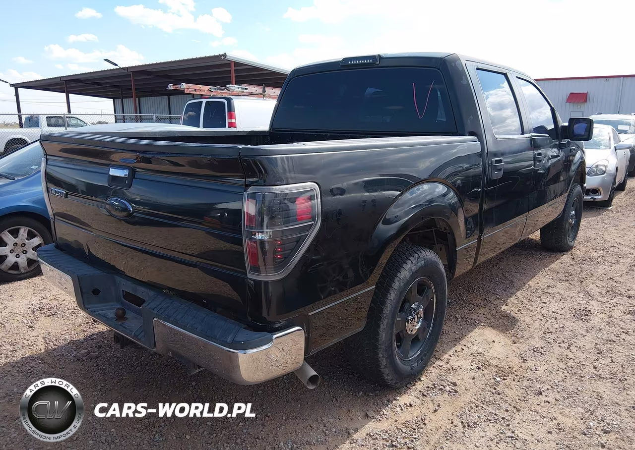 2010 Ford F-150 Fx2 Sport-Xl-Xlt VIN:1FTEW1C82AFC92468 - 4