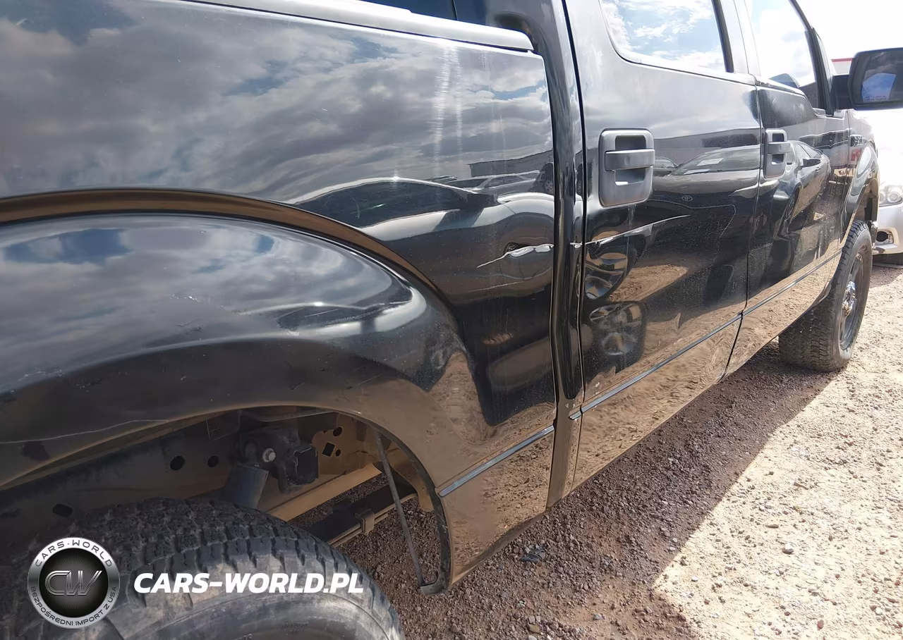 2010 Ford F-150 Fx2 Sport-Xl-Xlt VIN:1FTEW1C82AFC92468 - 6