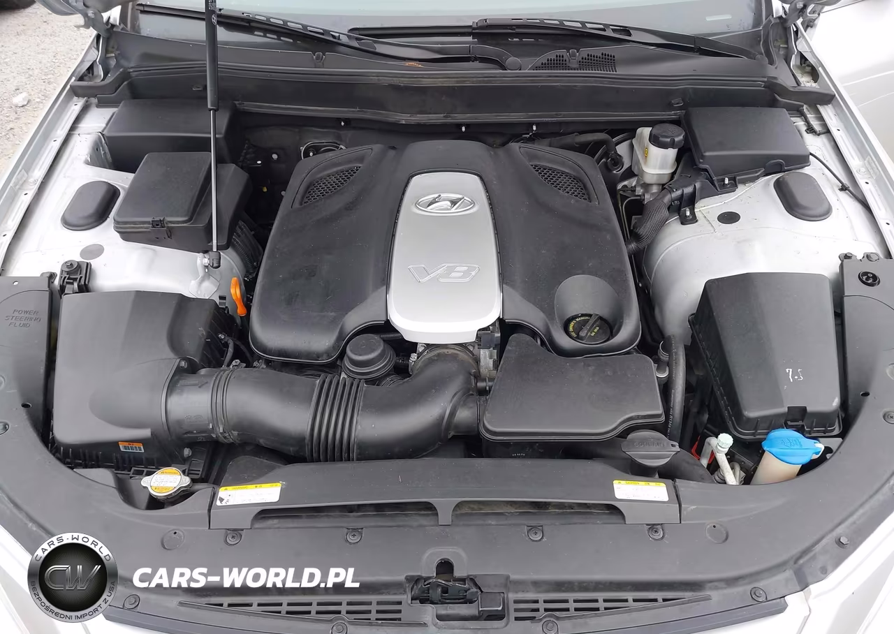 2009 Hyundai Genesis 4.6 VIN:KMHGC46F89U065107 - 10