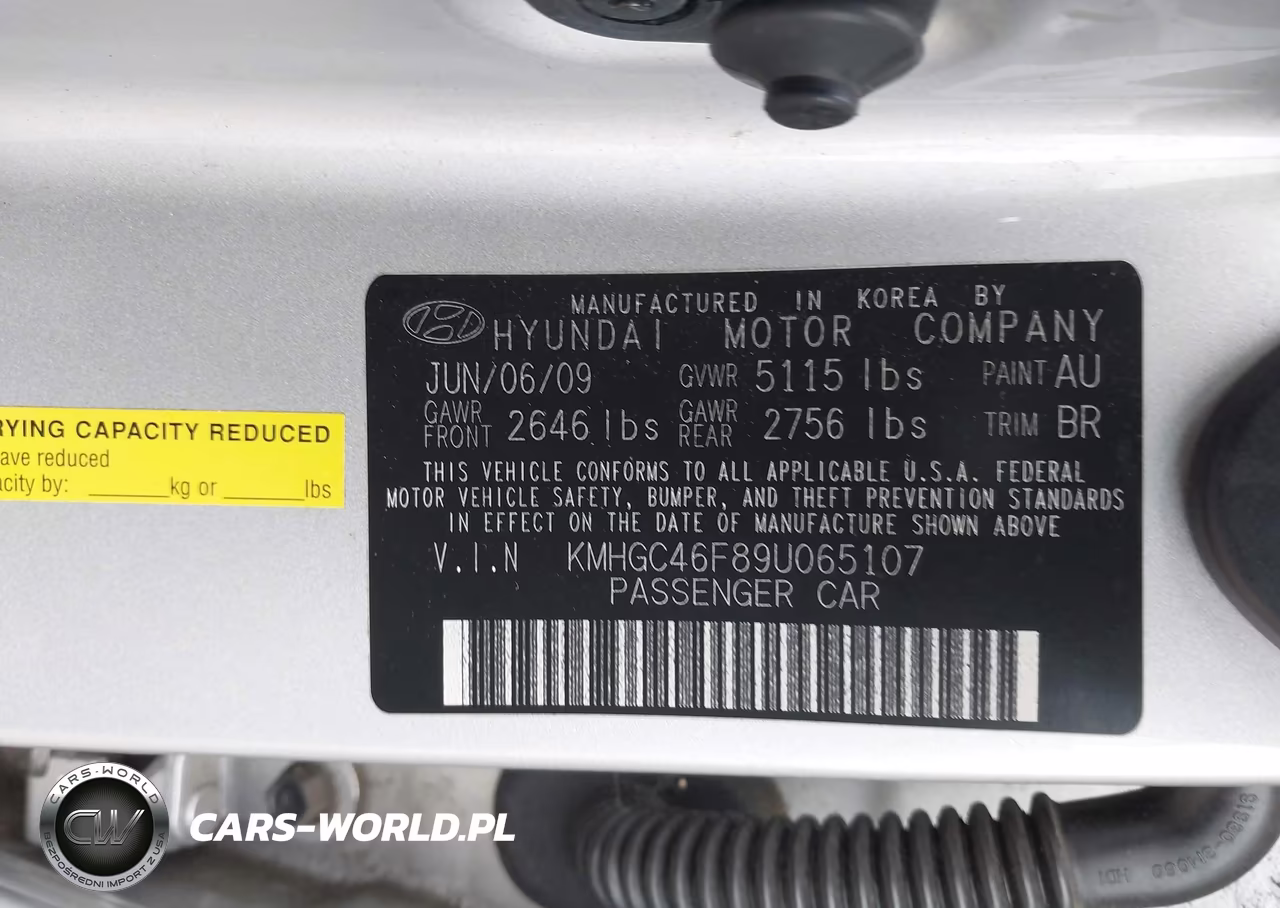 2009 Hyundai Genesis 4.6 VIN:KMHGC46F89U065107 - 9