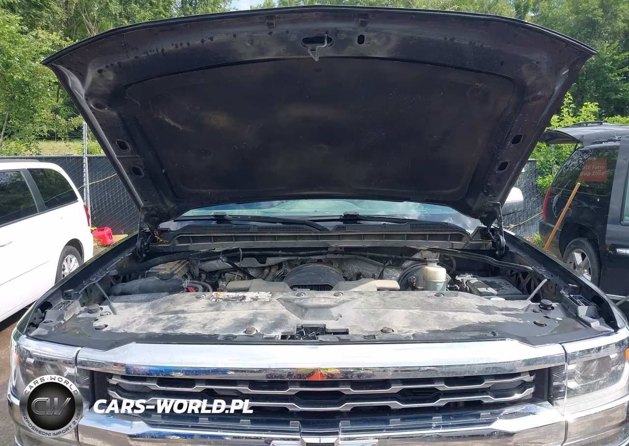 2016 Chevrolet Silverado 1500 1Lz VIN:3GCUKSEC6GG317491 - 10