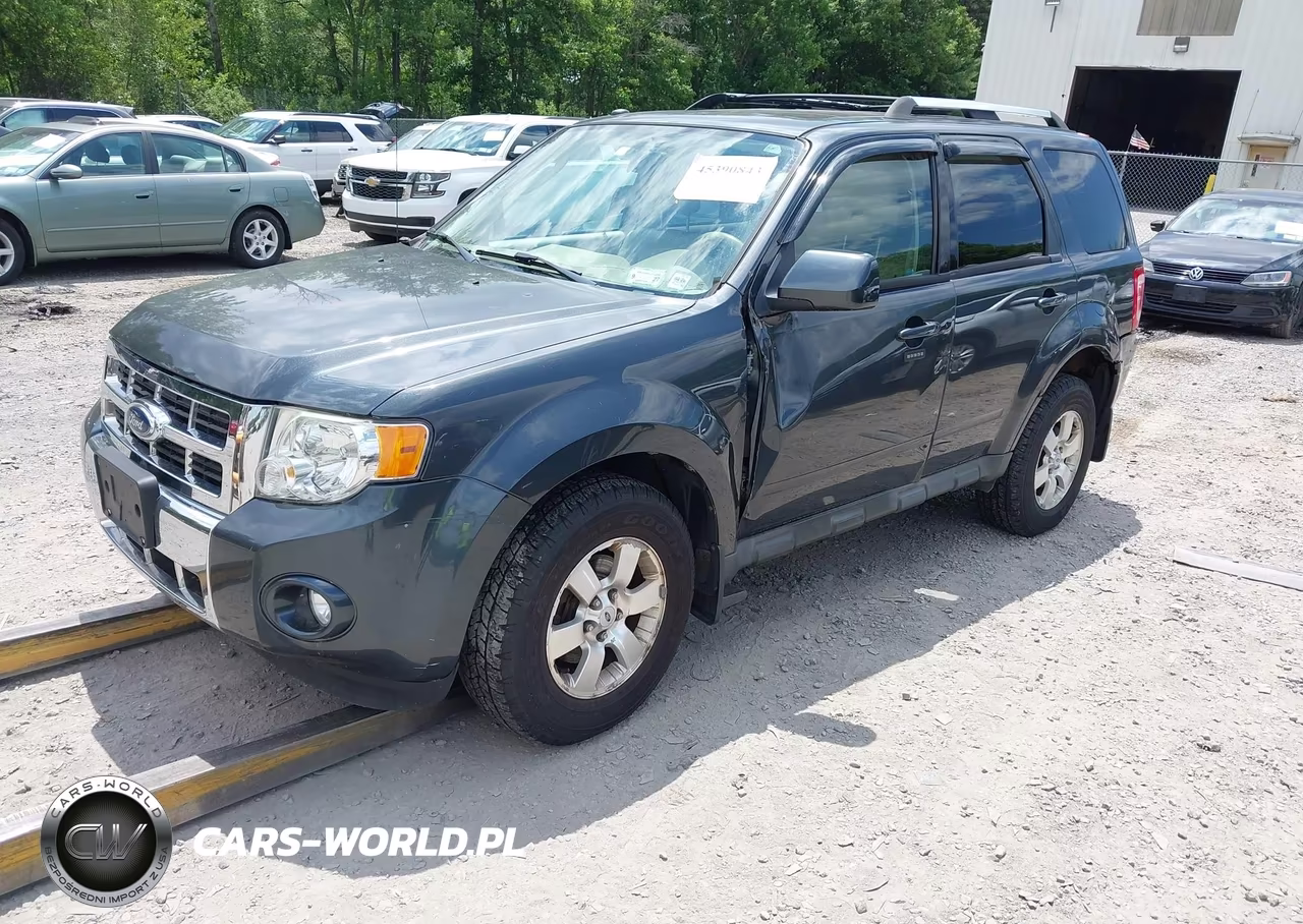 2009 Ford Escape Limited VIN:1FMCU94G19KC56495 - 2