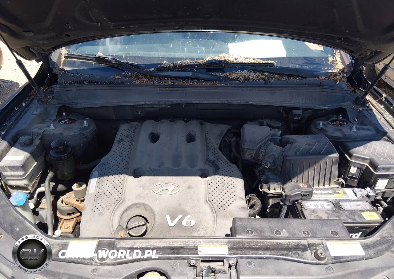 2007 Hyundai Santa Fe Gls VIN:5NMSG13D17H113748 - 10