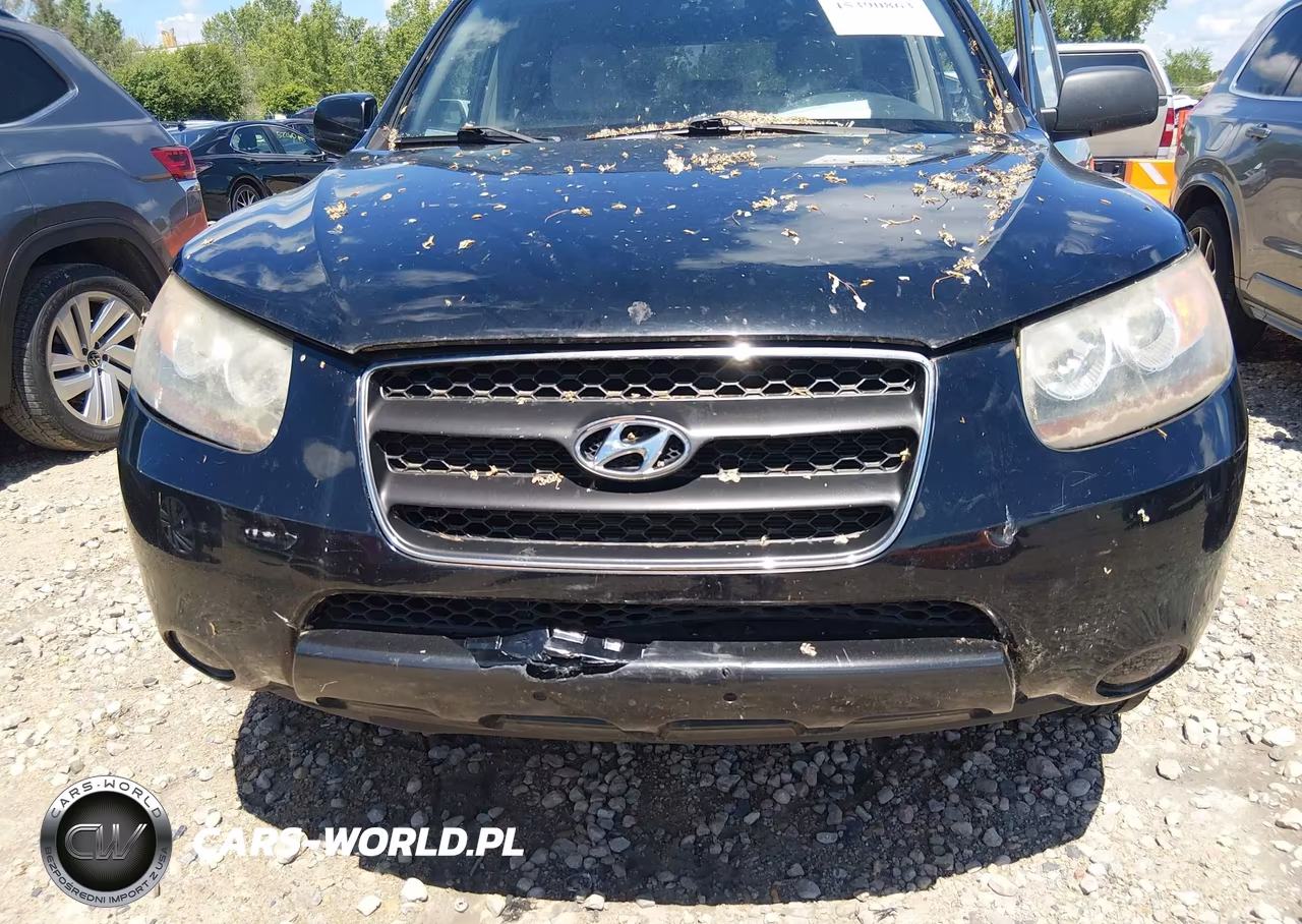2007 Hyundai Santa Fe Gls VIN:5NMSG13D17H113748 - 6