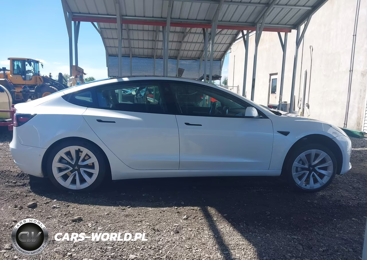 2022 Tesla Model 3 Long Range Dual Motor All-Wheel Drive VIN:5YJ3E1EB7NF118098 - 12