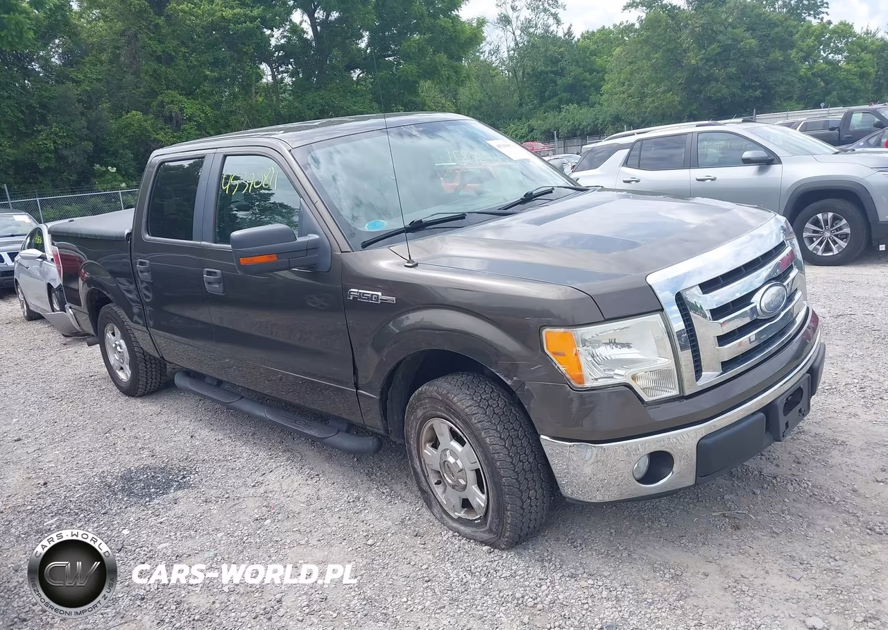 2009 Ford F150