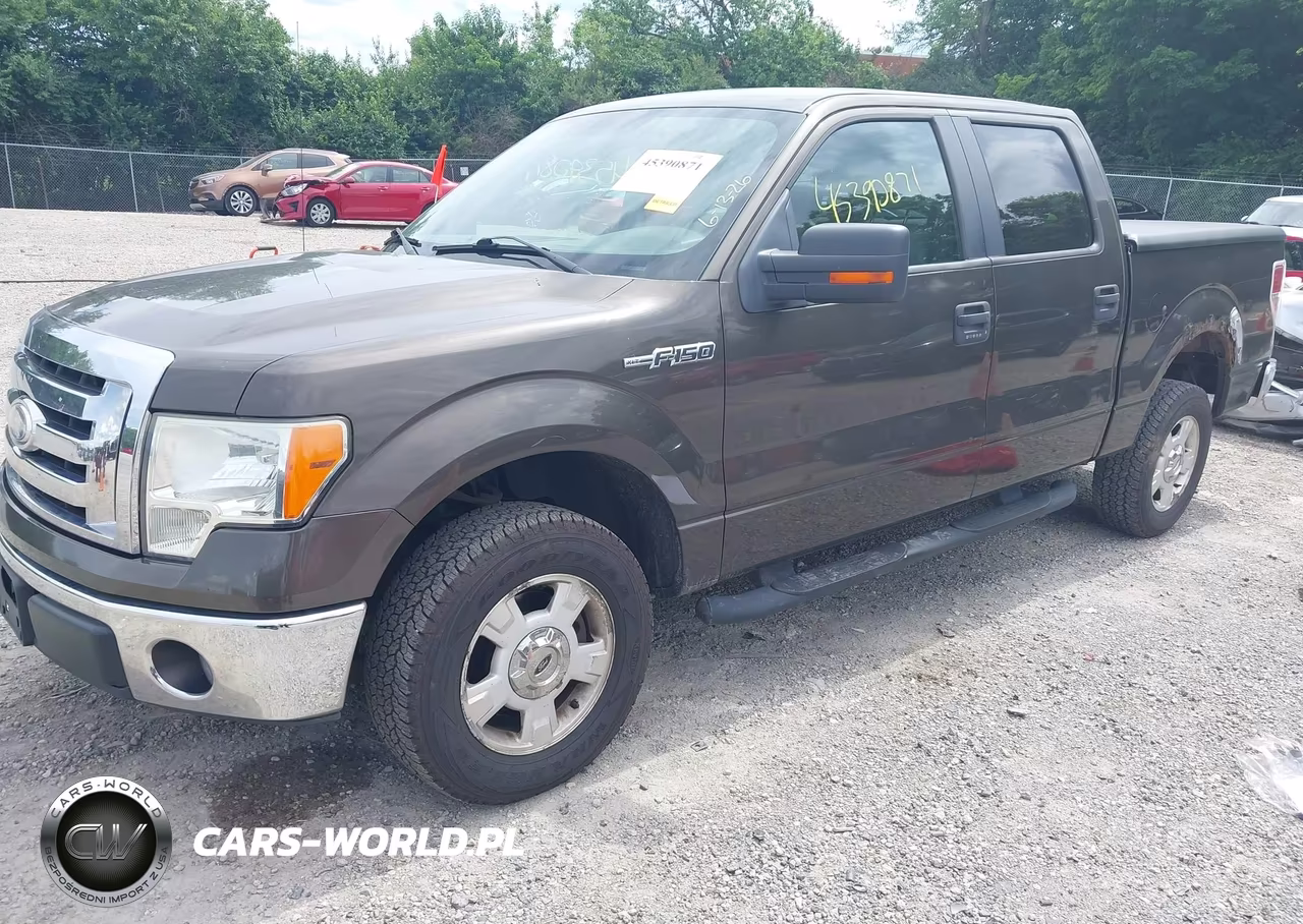 2009 Ford F150 VIN:1FAGW12839FA97350 - 2