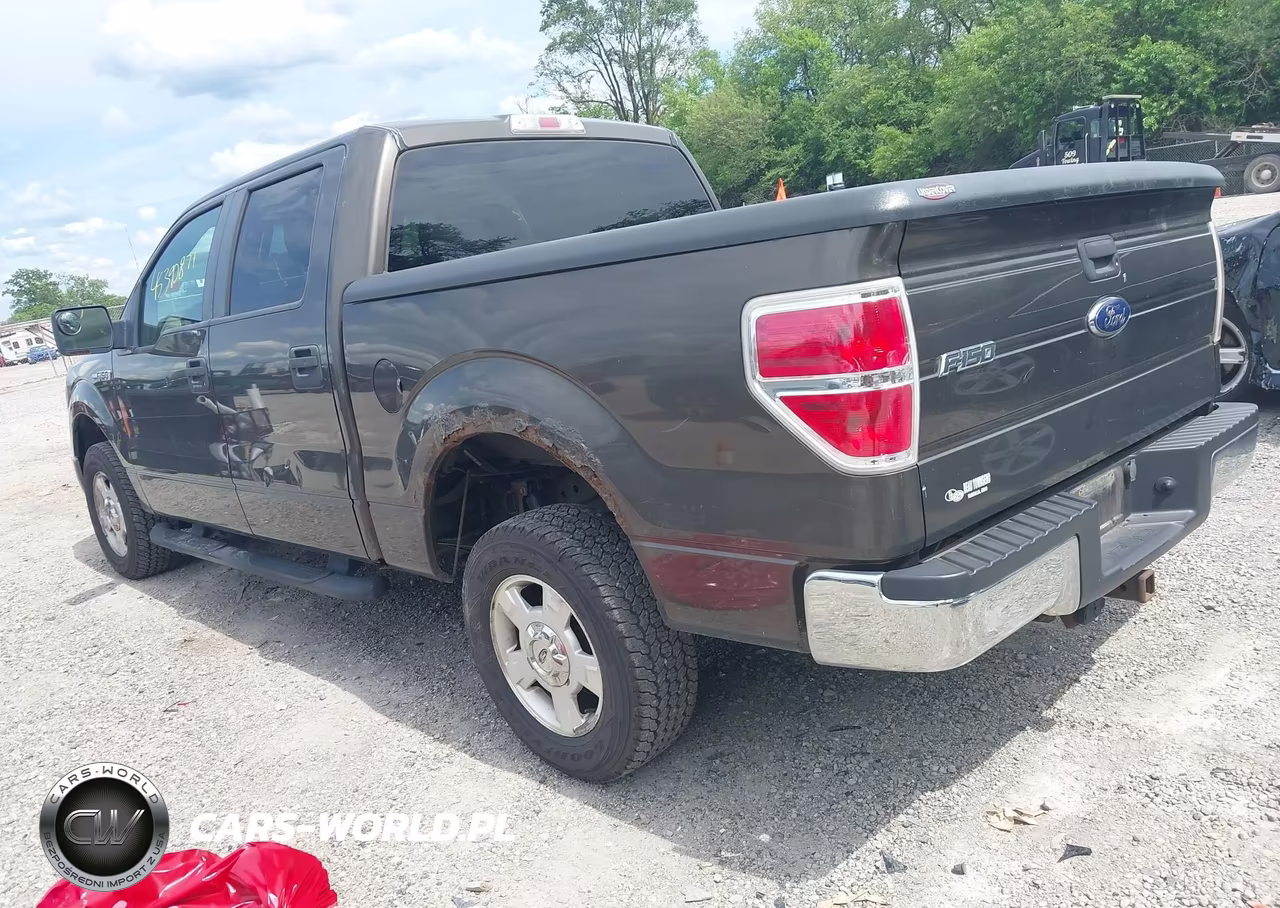 2009 Ford F150 VIN:1FAGW12839FA97350 - 3