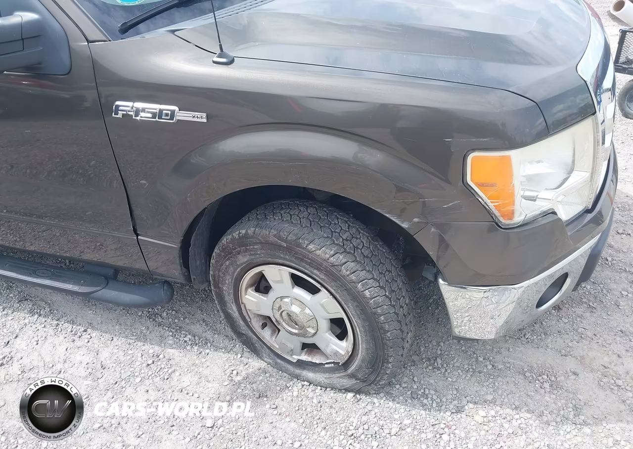 2009 Ford F150 VIN:1FAGW12839FA97350 - 6