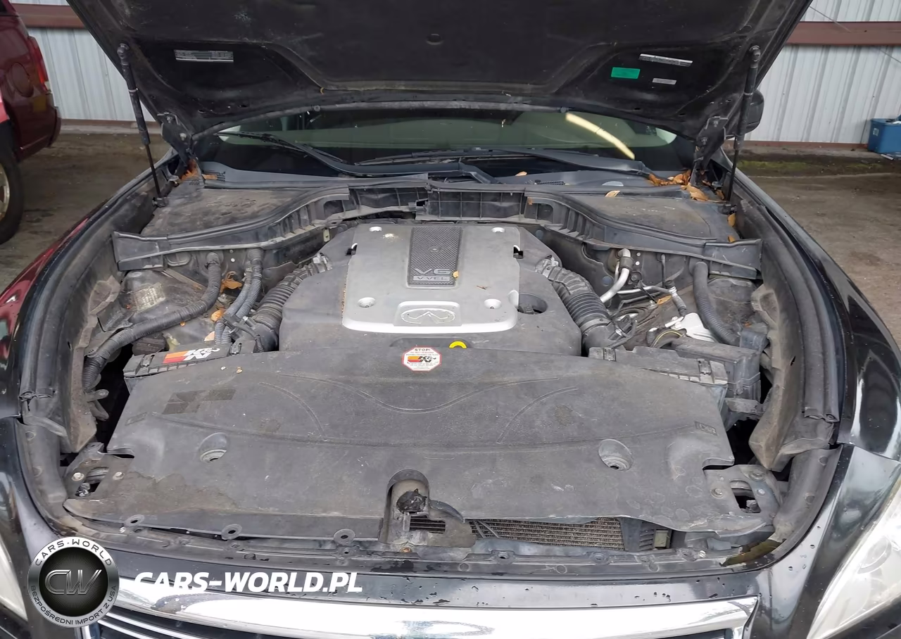 2011 Infiniti M37 VIN:JN1BY1APXBM324820 - 10